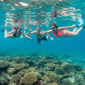 Cham Islands tour